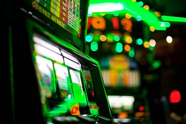 Dice game interface on timah88 showing bet placement and roll result